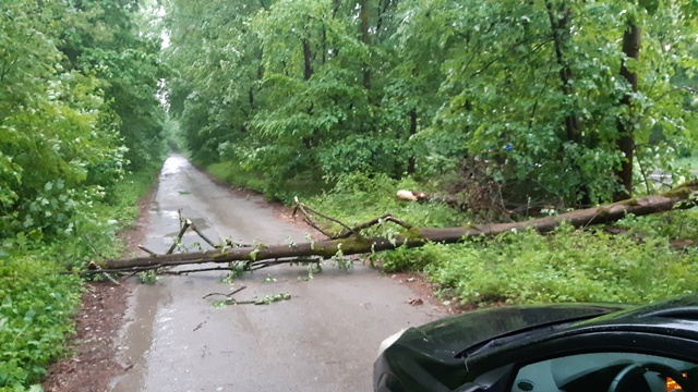 20220520_191510_resized groß.jpg